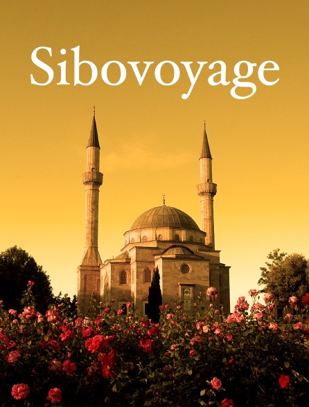 Sibovoyage