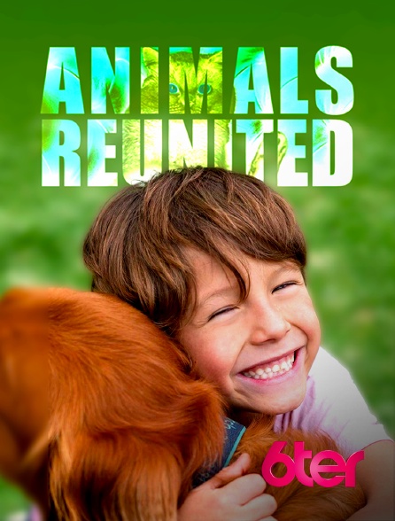 6ter - Animals reunited