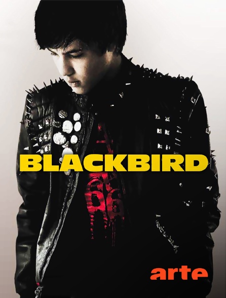 Arte - Blackbird