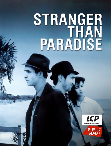 LCP Public Sénat - Stranger Than Paradise