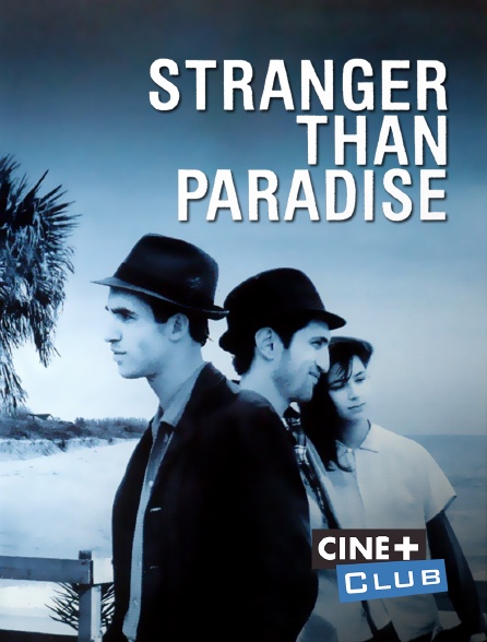 Ciné+ Club - Stranger Than Paradise