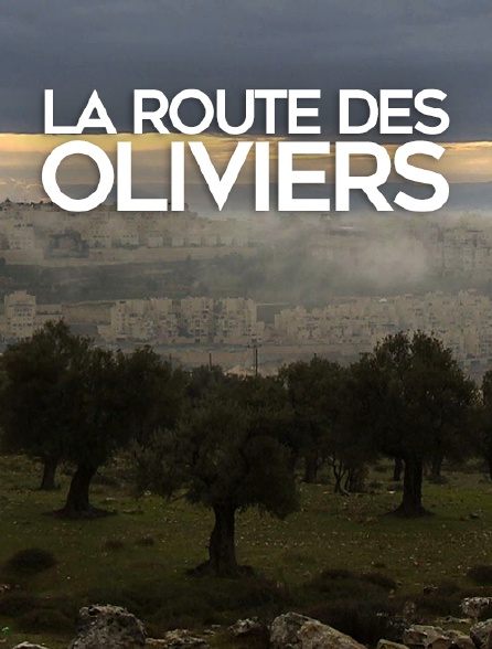 La route des oliviers