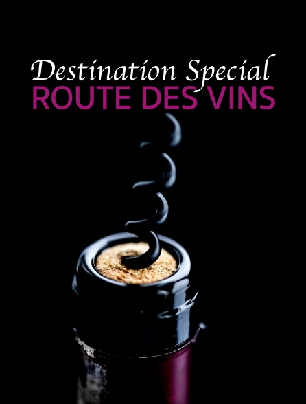 Destination Special : Route Des Vins