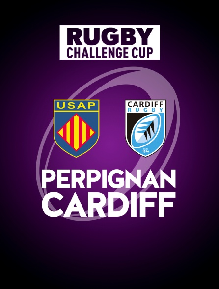 Rugby - Challenge Cup : Perpignan / Cardiff