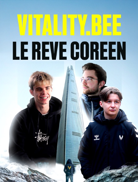 Slash - Vitality.Bee : le rêve coréen