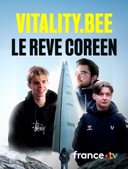 Slash - Vitality.Bee : le rêve coréen