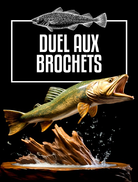 Duel aux brochets en Laponie