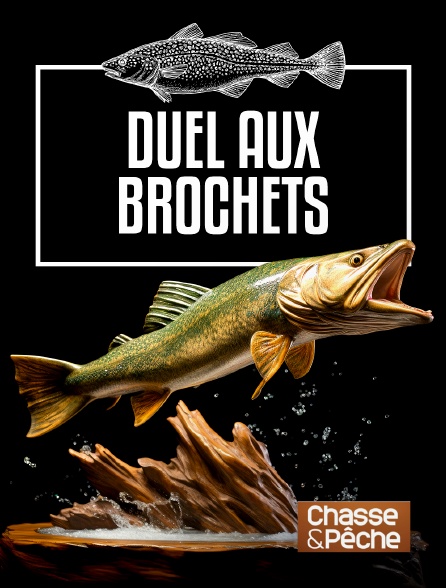 Chasse et pêche - Duel aux brochets en Laponie