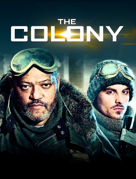 The colony