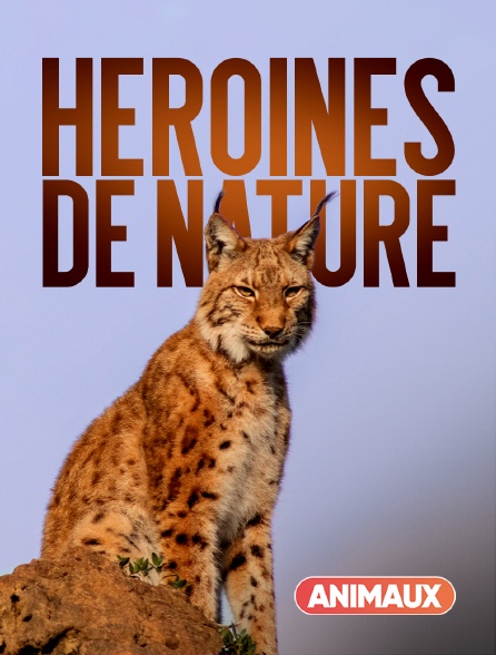 Animaux - Héroïnes de nature
