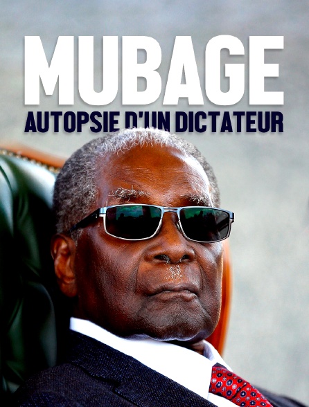 Mugabe, autopsie d'un dictateur