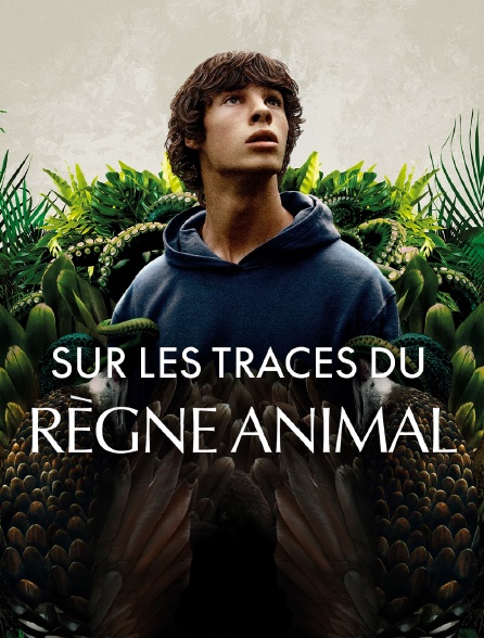 Sur les traces du règne animal
