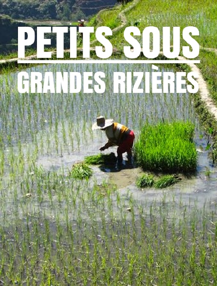 Petits sous, grandes rizières