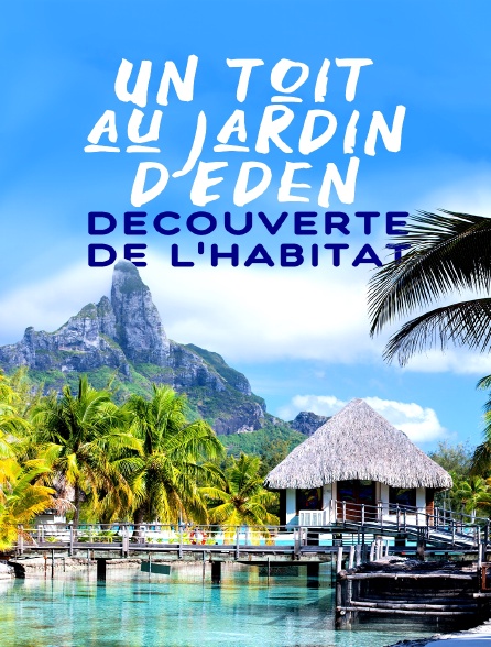 Un toit au jardin d'Eden, découverte de l'habitat
