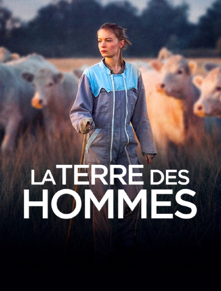 La Terre des hommes