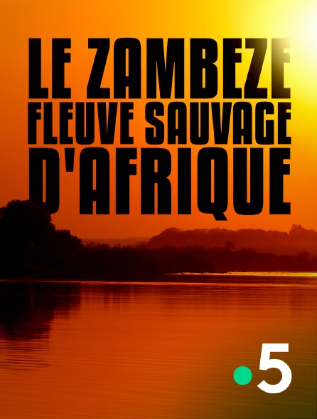 France 5 - Le Zambèze, fleuve sauvage d'Afrique