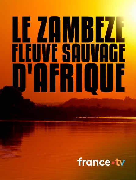 france.tv - Le Zambèze, fleuve sauvage d'Afrique