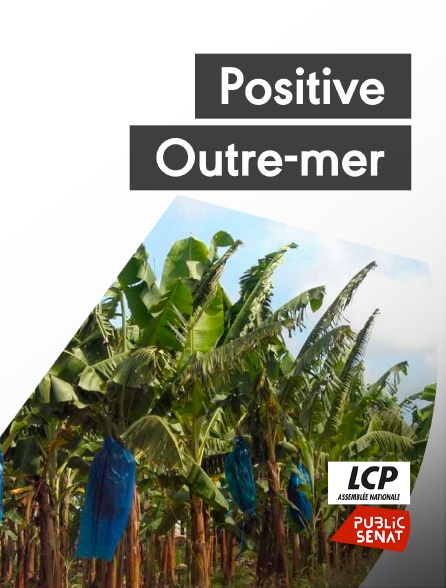 LCP Public Sénat - Positive Outre-mer