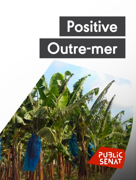 Public Sénat - Positive Outre-mer