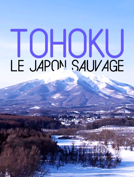 Tohoku, le Japon sauvage