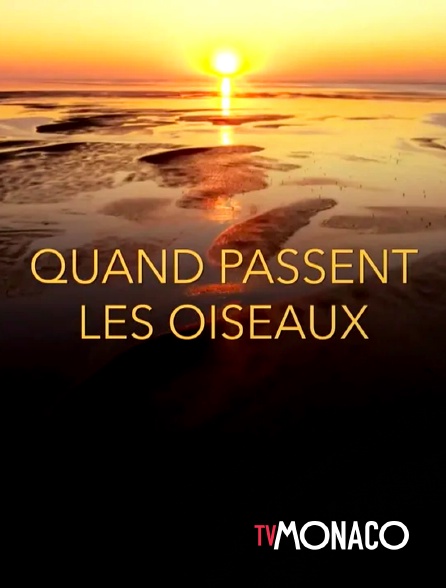 TV Monaco - Quand passent les oiseaux