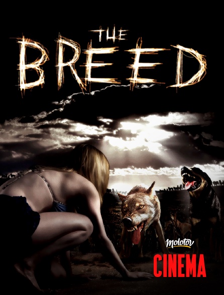 Molotov Channels Cinéma - The Breed