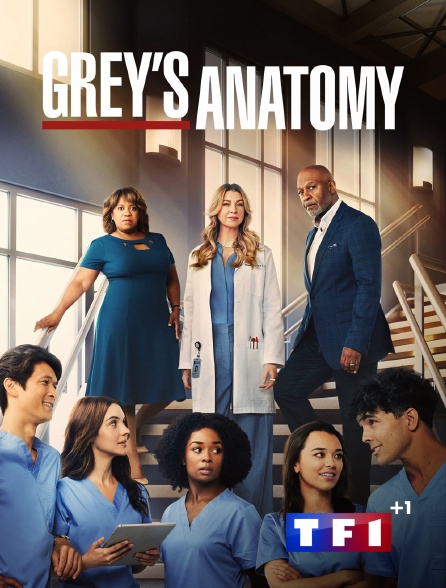 TF1 +1 - Grey's Anatomy