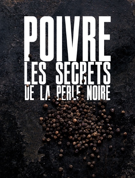 Poivre, les secrets de la perle noire