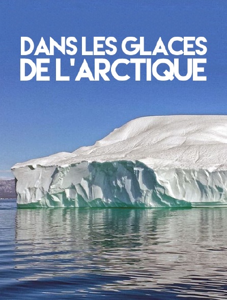 Dans les glaces de l'Arctique