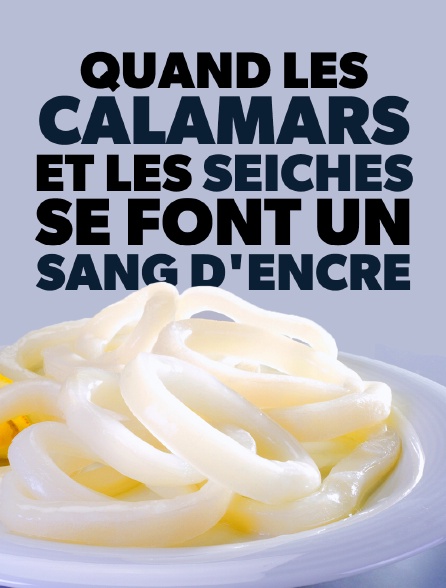 Quand les calamars et les seiches se font un sang d'encre