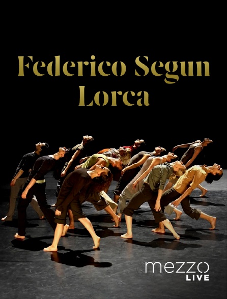 Mezzo Live HD - Federico Segun Lorca