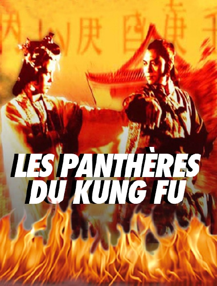 Les panthères du kung-fu