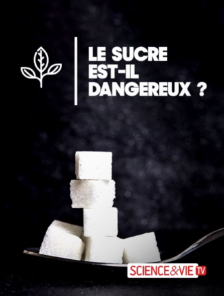 Science et Vie TV - Le sucre est-il dangereux ?