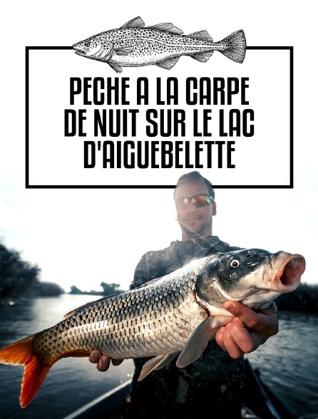 Pêche à la carpe de nuit sur le lac d'Aiguebelette