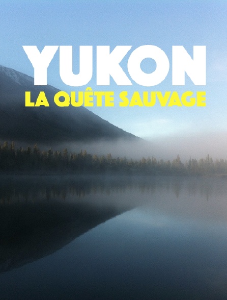 Yukon, la quête sauvage