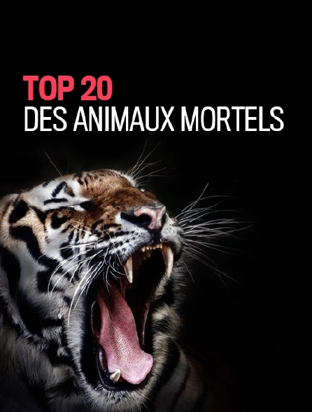 Top 20 des animaux mortels