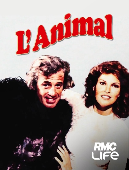 RMC Life - L'animal