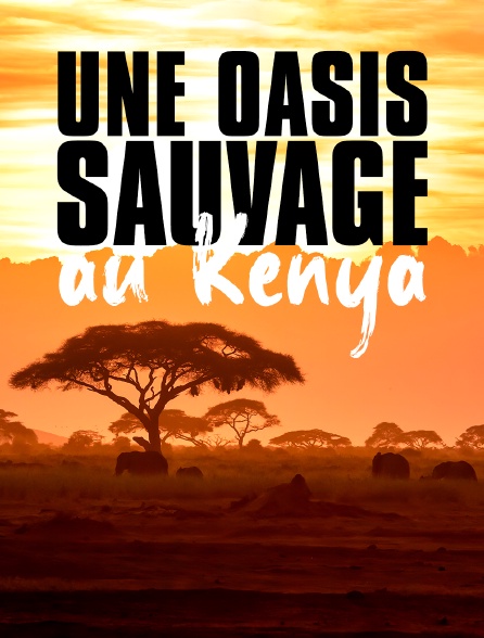 Une oasis sauvage au Kenya
