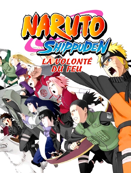 Naruto Shippuden : La volonté du feu