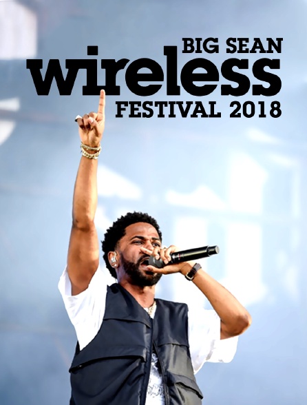Big Sean @ Wireless Festival 2018