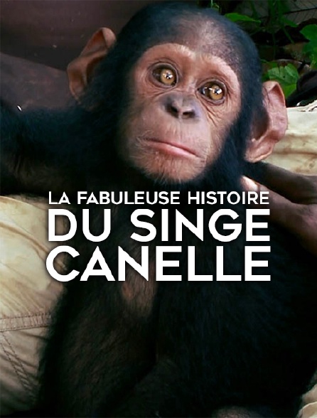 La fabuleuse histoire du singe Canelle