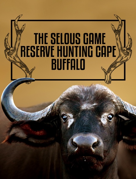 The Selous Game Reserve : Hunting Cape Buffalo