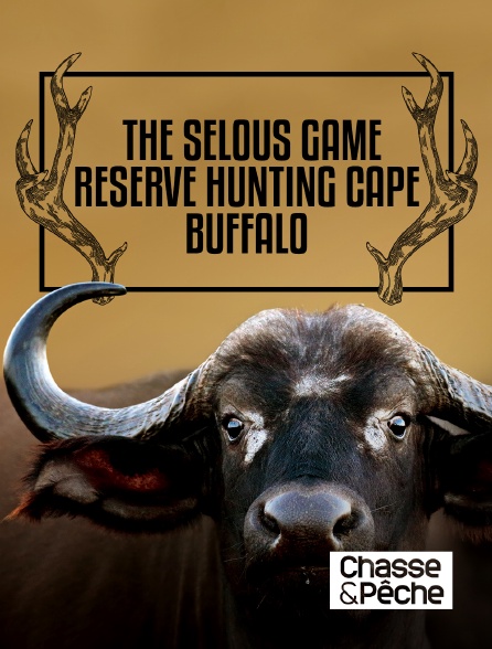 Chasse et pêche - The Selous Game Reserve : Hunting Cape Buffalo