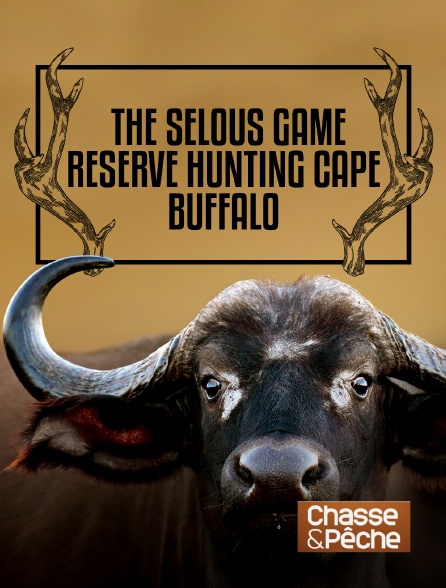 Chasse et pêche - The Selous Game Reserve : Hunting Cape Buffalo