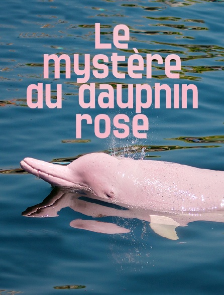 Le mystère du dauphin rose