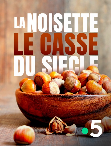 France 5 - La noisette : le casse du siècle