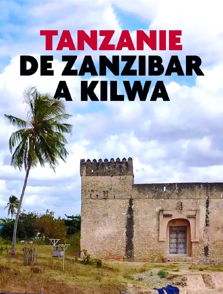 Tanzanie, de Zanzibar à Kilwa
