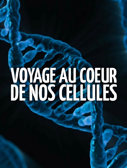 Voyage au coeur de nos cellules