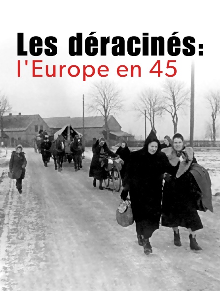 Les déracinés : l'Europe en 45