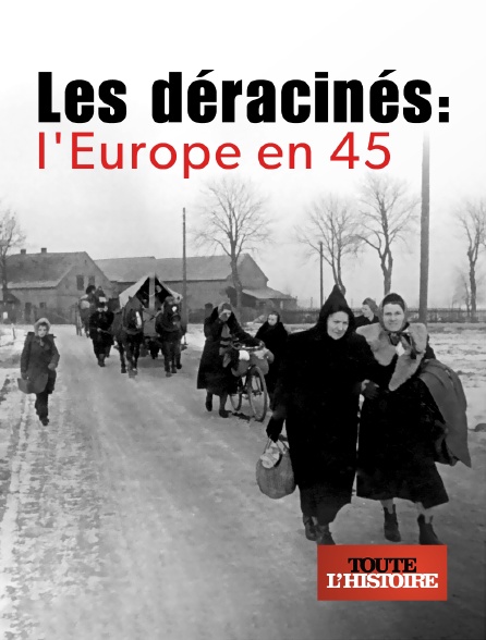 Toute l'histoire - Les déracinés : l'Europe en 45